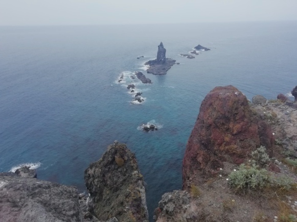 c0212083_20322917.jpg