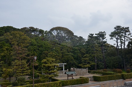 c0229483_1835798.jpg