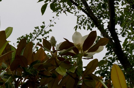 c0229483_18525484.jpg