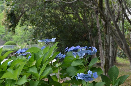 c0229483_18532940.jpg