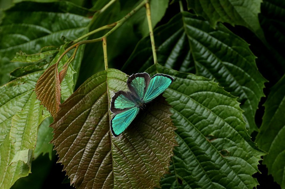 f0373486_13012140.jpg