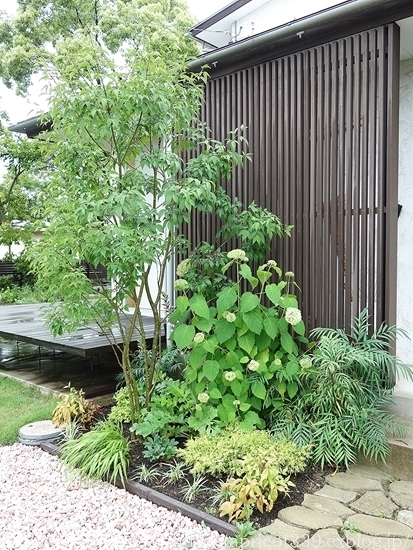 エントランスの植栽スペース 植えかえ後からのBEFORE→AFTER_c0293787_15181747.jpg