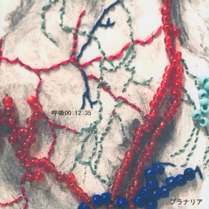 c0049495_17114631.jpg