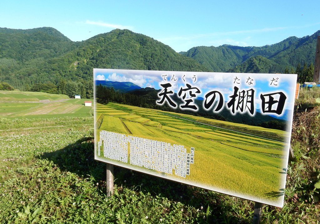 d0102495_13103900.jpg