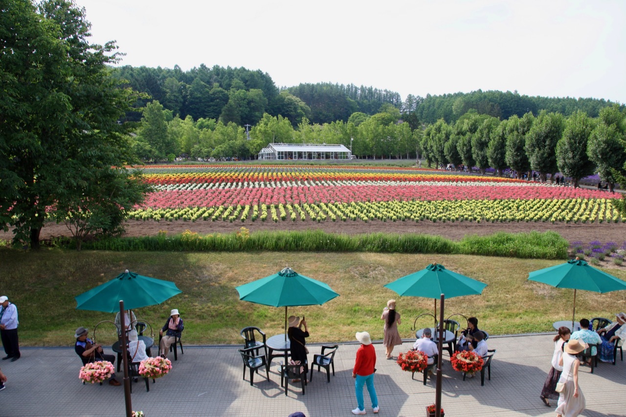 そうだ富良野行こう2_a0015198_20214170.jpg