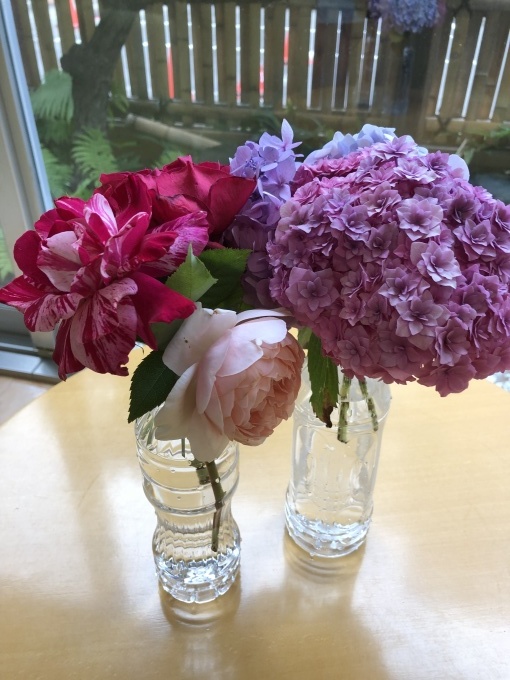 紫陽花と薔薇のプレゼント_b0159098_16062194.jpg