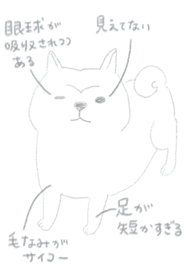 我が家の老犬の話_e0413199_16580899.png
