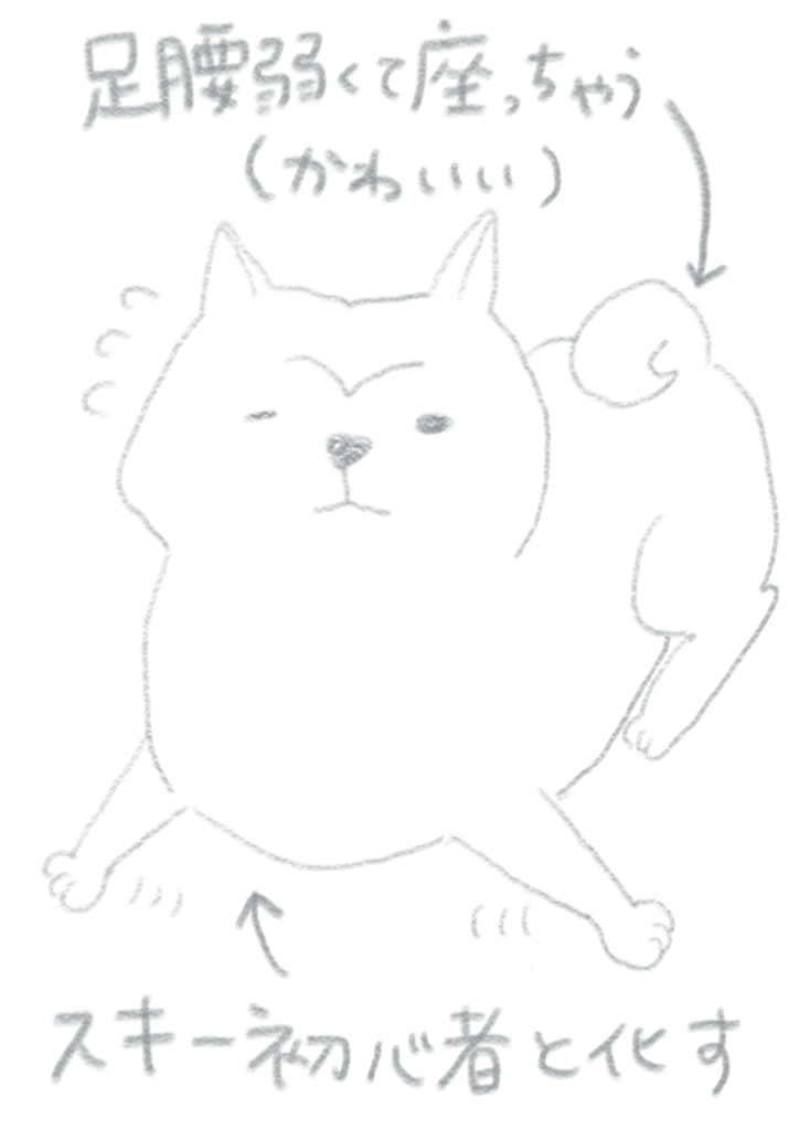 我が家の老犬の話_e0413199_17090701.png