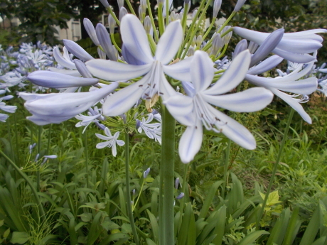 a0203003_14184557.jpg
