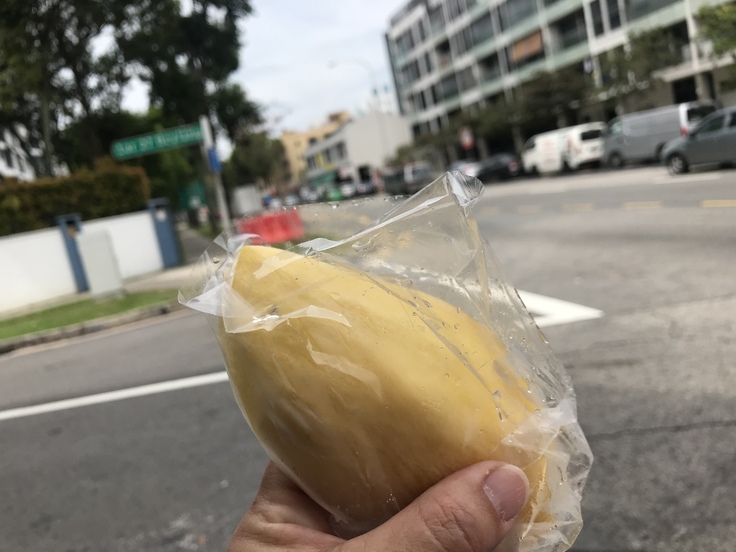マンゴーとパパイヤを食いながら歩く ♪_c0212604_18344411.jpg