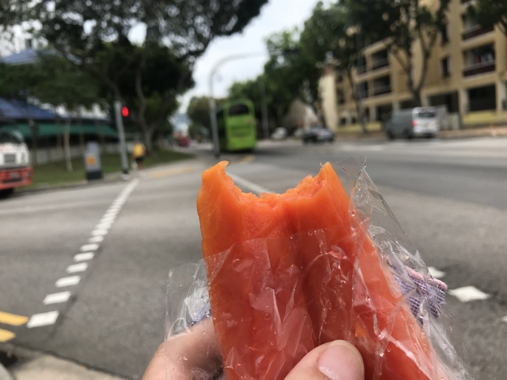 マンゴーとパパイヤを食いながら歩く ♪_c0212604_18353470.jpg