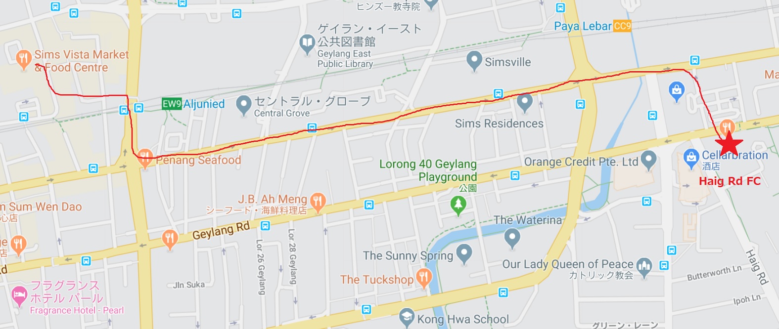 マンゴーとパパイヤを食いながら歩く ♪_c0212604_19434642.jpg