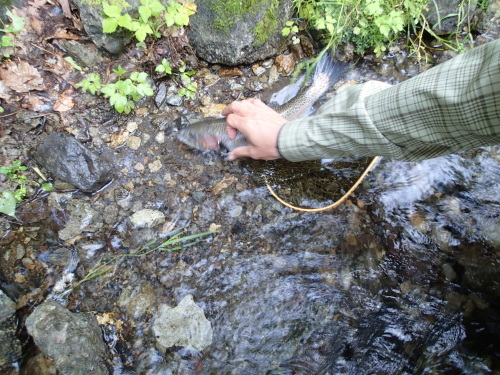 b0172805_05490747.jpeg