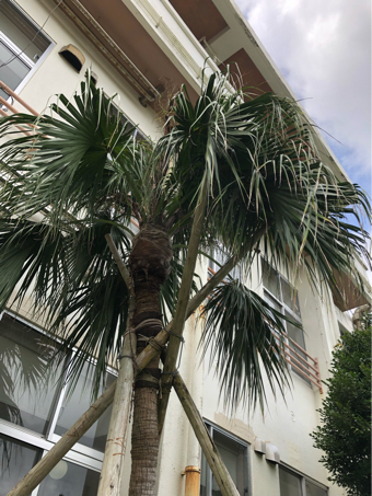 梅雨明けを待って_c0176406_04321259.jpg