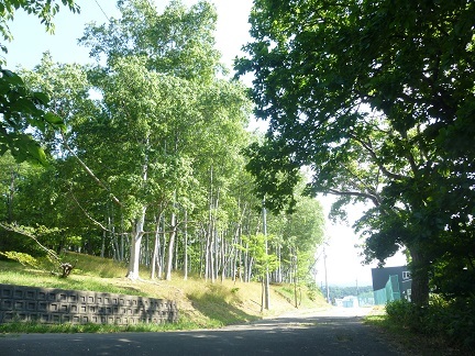 b0198109_21165409.jpg