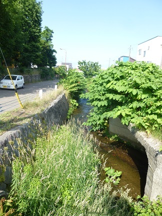 b0198109_21175908.jpg