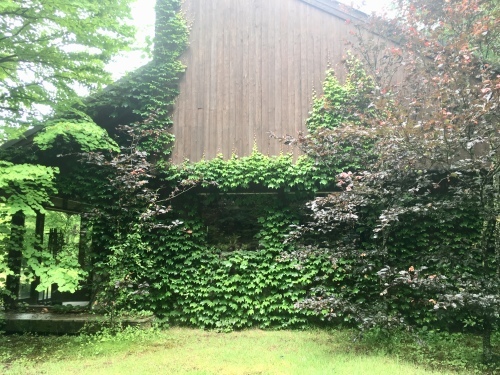 d0179410_23070995.jpeg