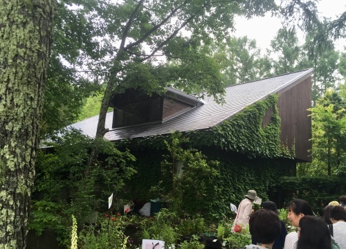 d0179410_23300692.jpeg