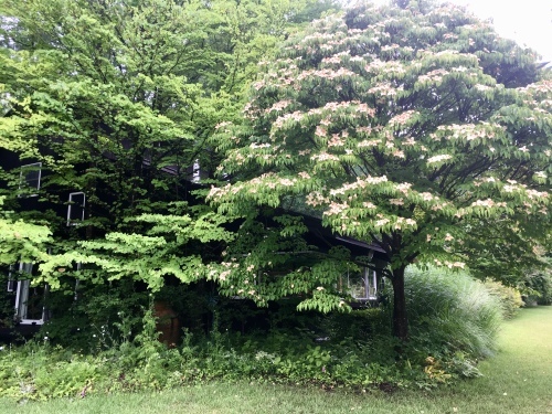 d0179410_23562071.jpeg
