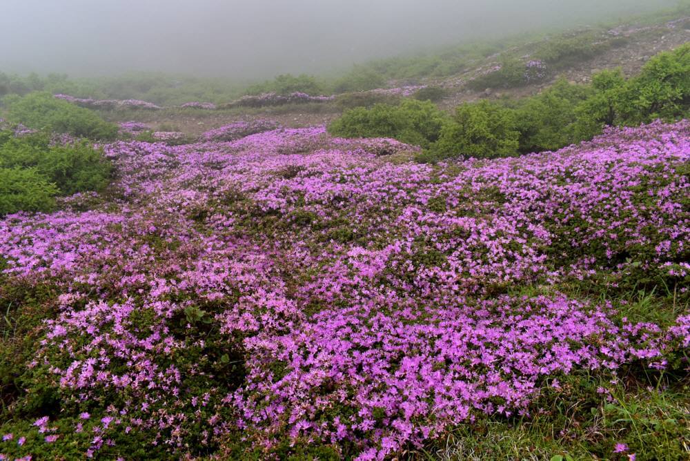 f0212511_06354347.jpg