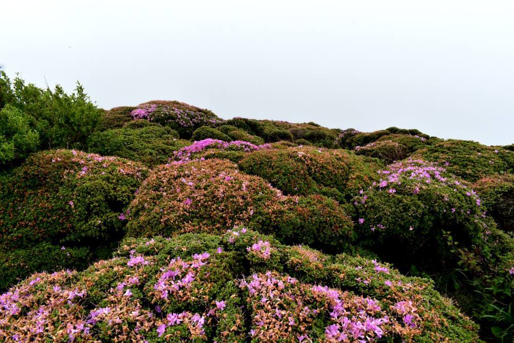 f0212511_06361519.jpg