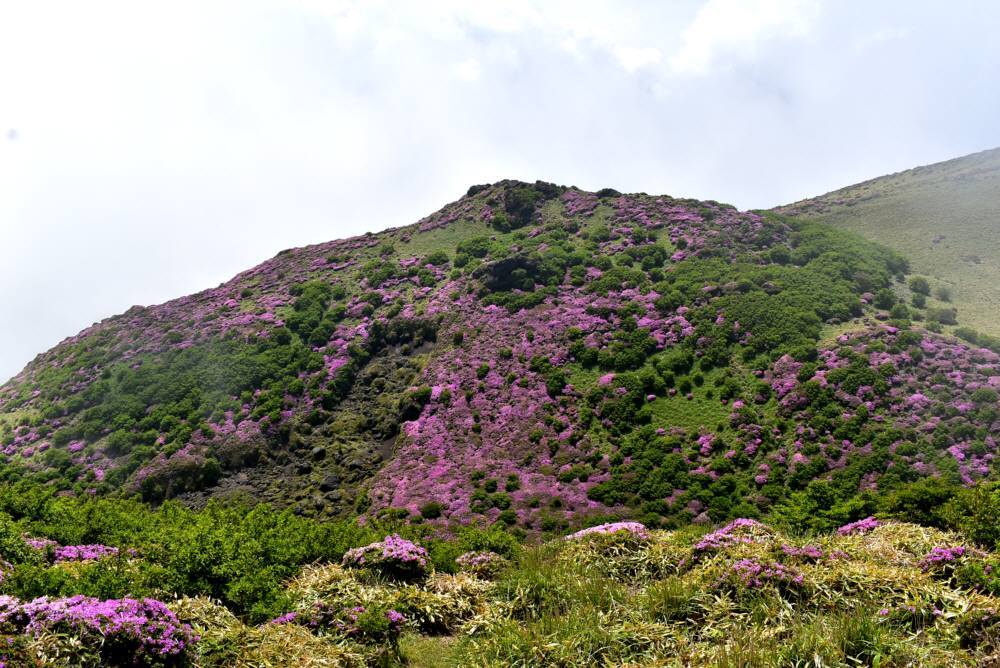f0212511_06365017.jpg