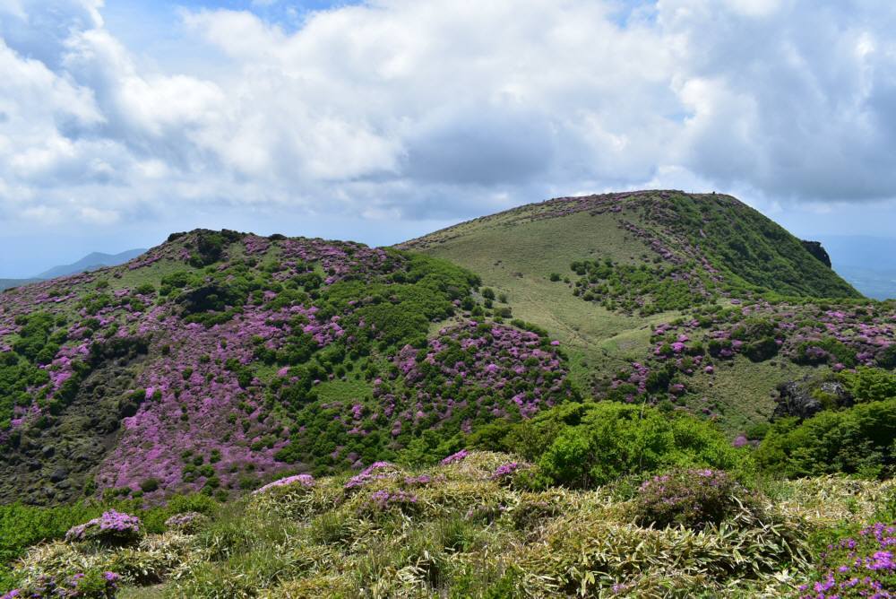 f0212511_06365756.jpg