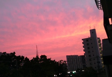 f0371014_05472487.jpg