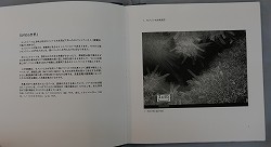 d0359617_21481535.jpg