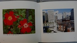 d0359617_21483361.jpg