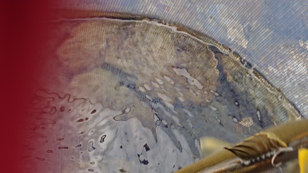 c0221718_12082150.jpg