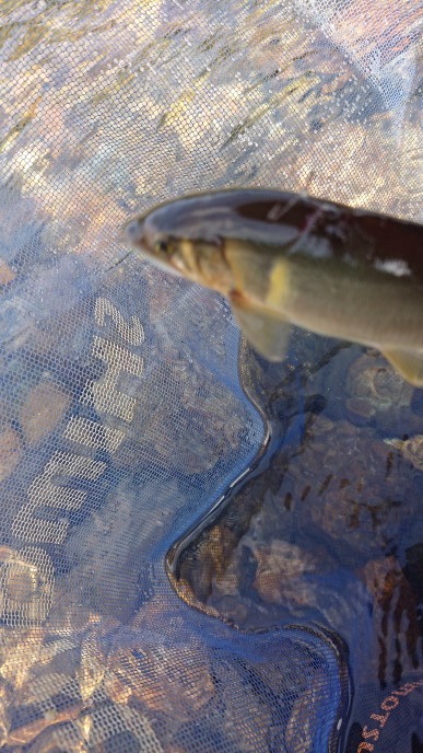 c0221718_12084302.jpg