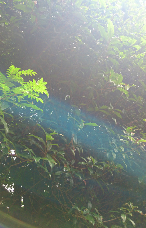 a0329820_15323726.jpg