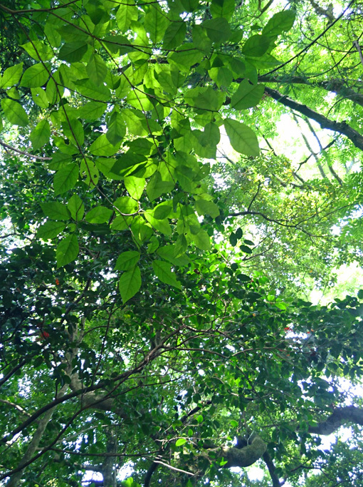 a0329820_15325040.jpg