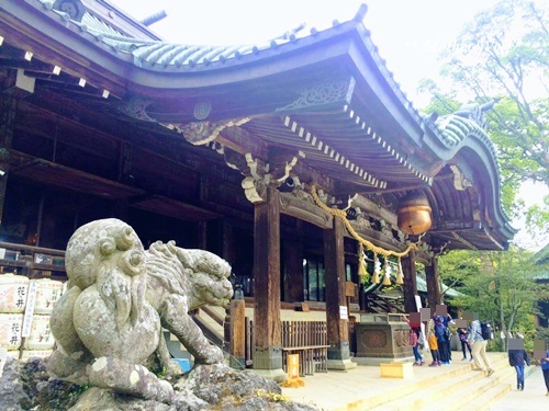 久々の登山じゃ♪_f0289824_18355913.jpg