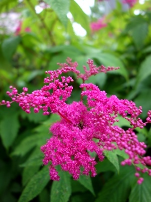 c0204725_12364174.jpg