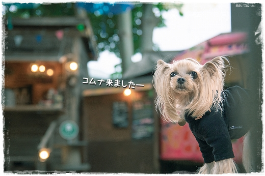 d0179828_00555213.png