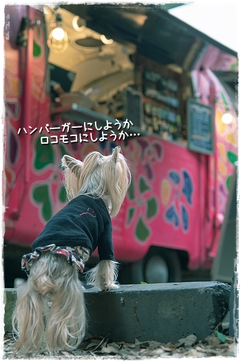 d0179828_00572657.png