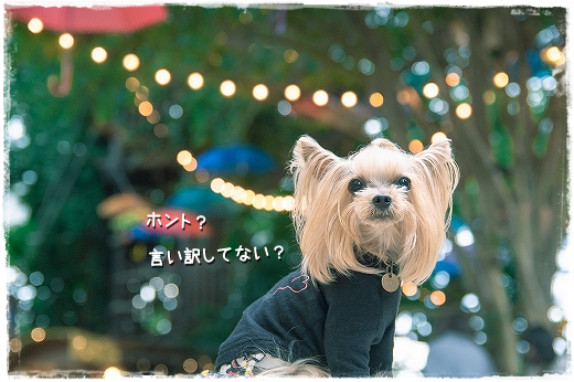 d0179828_13110967.png