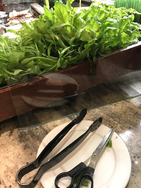 d0269832_03390771.jpeg