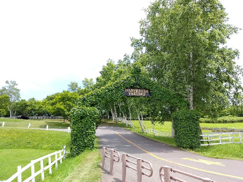 e0305834_21453972.jpg