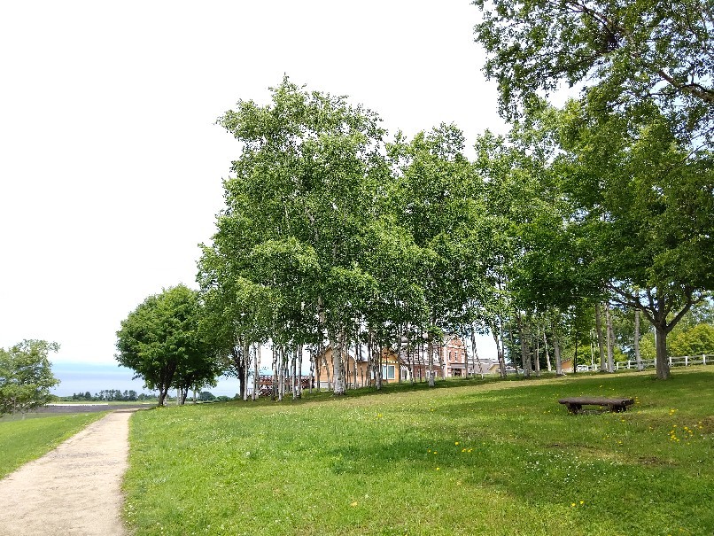 e0305834_21453993.jpg
