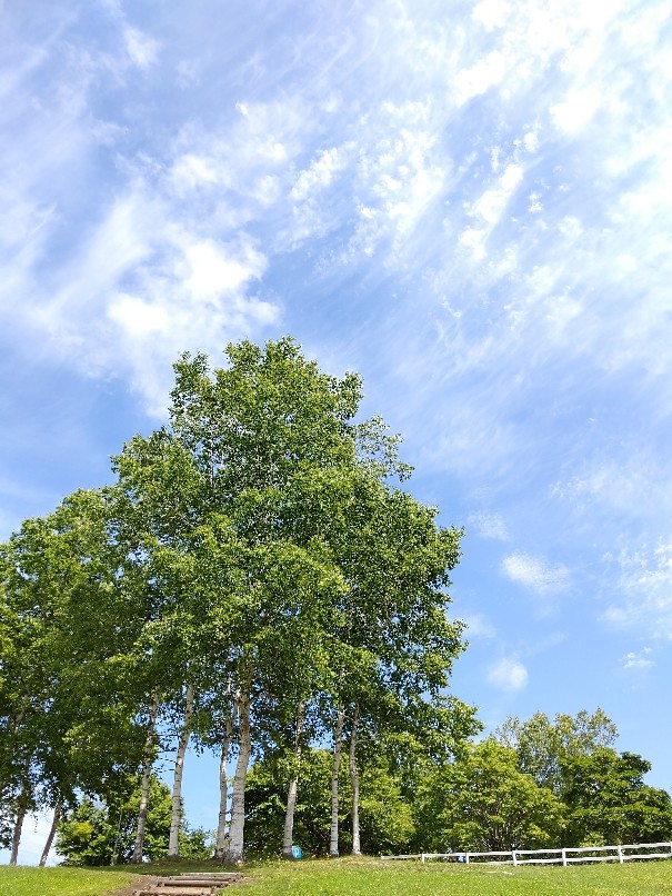 e0305834_21491180.jpg