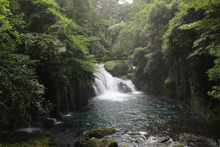 e0272335_19462383.jpg