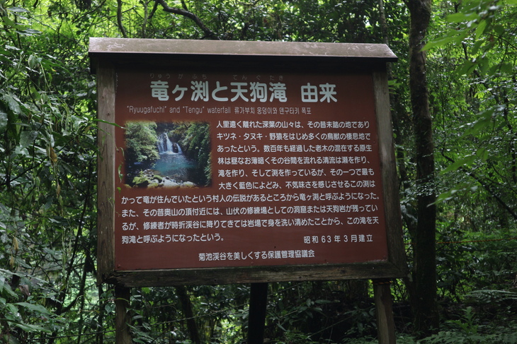 e0272335_19481278.jpg