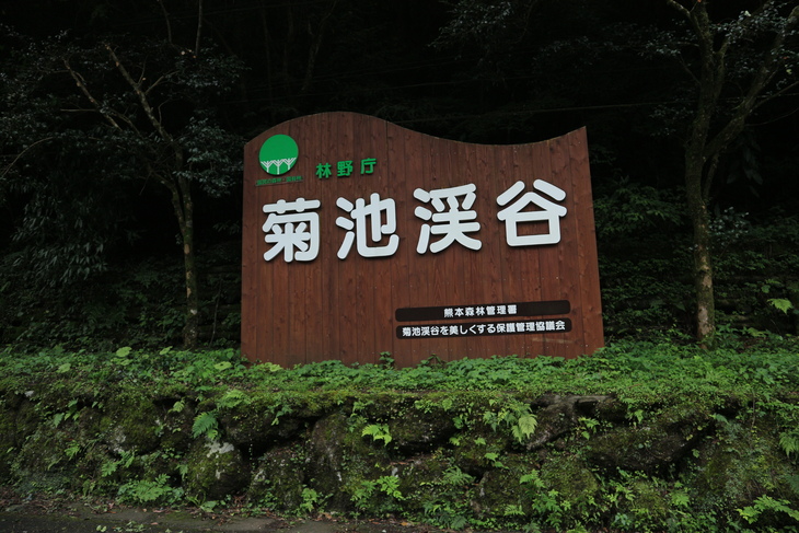 e0272335_1964917.jpg