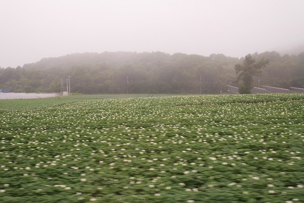 b0120541_21132216.jpg