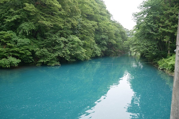 b0120541_21160526.jpg