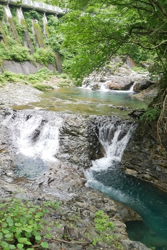 b0120541_21172957.jpg