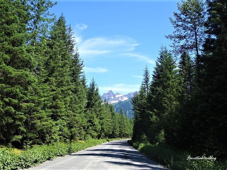 d0356844_05341467.jpg